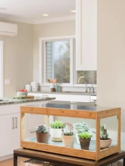 Low Bamboo LED Grow Light Garden -Outdoor Garden Supply Store 8597720 9385 tif