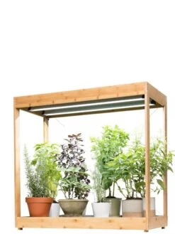 Medium Bamboo LED Grow Light Garden 25 Medium Bamboo LED Grow Light Garden -Outdoor Garden Supply Store 8597883 1011 tif