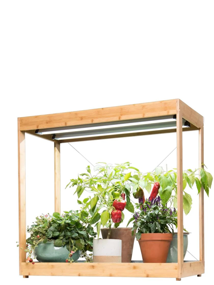 Medium Bamboo LED Grow Light Garden 11 Medium Bamboo LED Grow Light Garden - Image 11