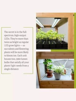 Bamboo LED Grow Light Garden For Succulents And Seeds -Outdoor Garden Supply Store 8598084 7