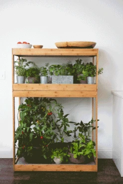 Bamboo Home LED Grow Light Garden -Outdoor Garden Supply Store 8598088 BambooLEDHomeGarden light gif