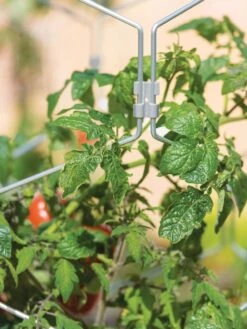 Gardener's Vertex Lifetime Tomato Cage 8 Gardener's Vertex Lifetime Tomato Cage -Outdoor Garden Supply Store 8598426 0011 tif
