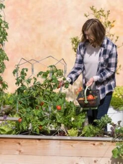 Gardener's Vertex Lifetime Tomato Cage 9 Gardener's Vertex Lifetime Tomato Cage -Outdoor Garden Supply Store 8598426 0026 tif