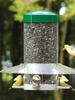 Birds Choiceâ„¢ Classic Tube Feeder With Weather Guard Baffle, 12"