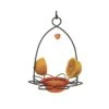 Birds Choice ™ Oriole Flower Feeder