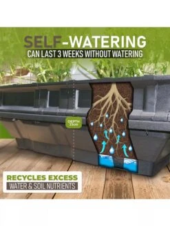 Vegepod Raised Garden Beds -Outdoor Garden Supply Store 8598930 02V