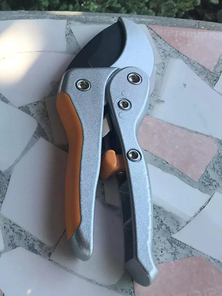 Ratcheting Clippers 1 Ratcheting Clippers