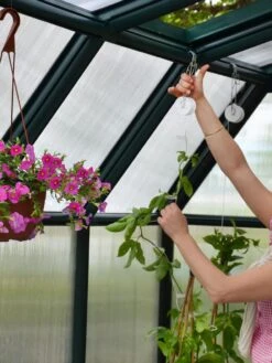 Canopia® By Palram Hobby Gardener Greenhouse, 8' -Outdoor Garden Supply Store 8599331 04V tif