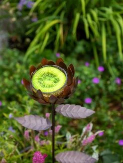 Dahlia Butterfly Feeder -Outdoor Garden Supply Store 8599369 683 tif