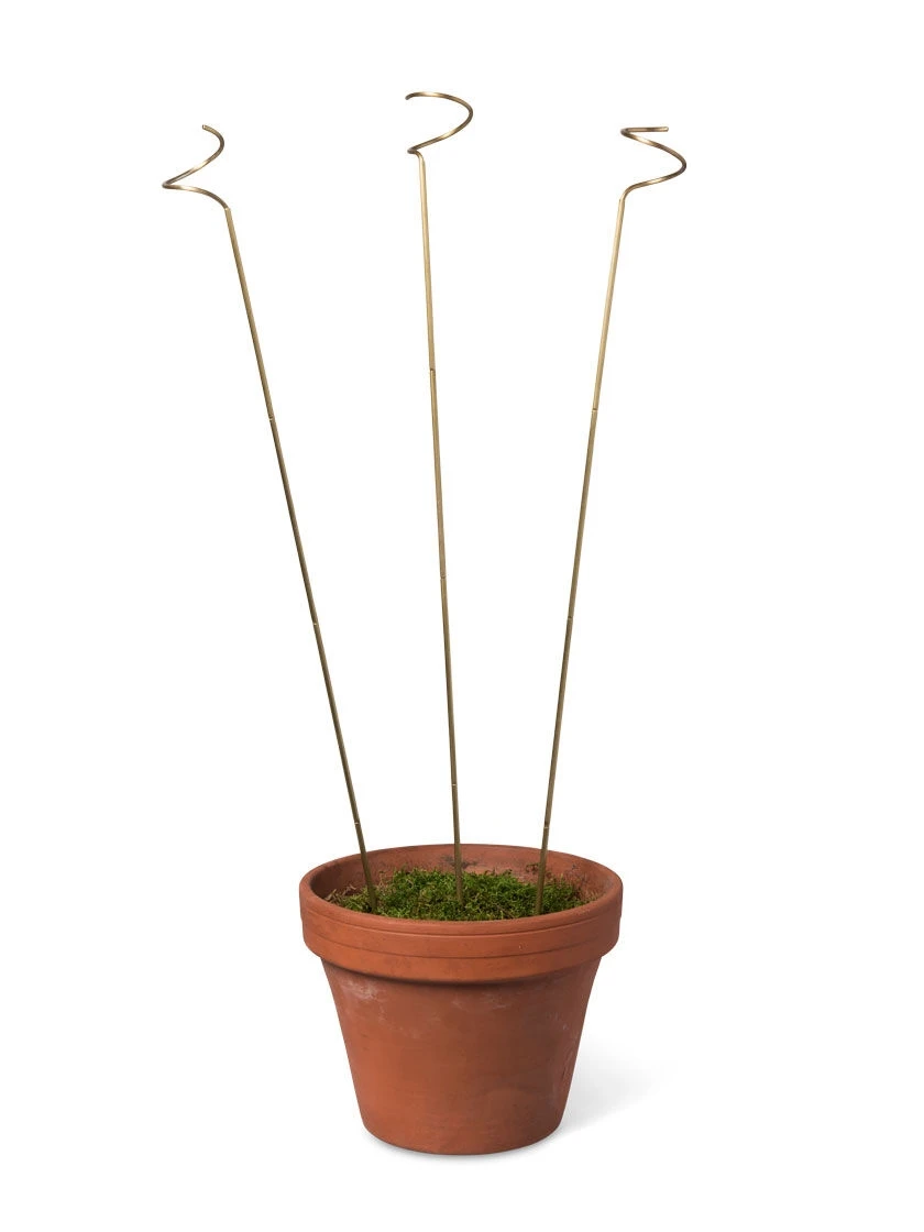 Adjustable Amaryllis Stakes, Set Of 3 2 Adjustable Amaryllis Stakes, Set Of 3 - Image 2