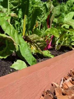 Straight Landscape Edging Kit With 2" Boards -Outdoor Garden Supply Store 8599408 02V tif