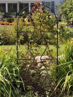 Achla Designs Orangery Trellis