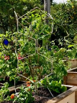 Gardener's Vertex Lifetime Pepper And Eggplant Cage -Outdoor Garden Supply Store 8599554 01CUST tif