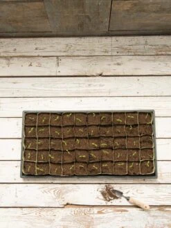 Paper Pots, 50 Cell -Outdoor Garden Supply Store 8599830 18489 tif