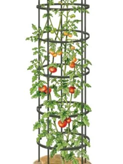 Titan Tall Tomato Cages, Set Of 3 -Outdoor Garden Supply Store 8599860 0002 art tif