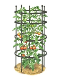 Titan Tomato Cages, Set Of 3 -Outdoor Garden Supply Store 8599861 0001 art tif