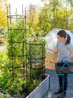 Titan Tomato Cages, Set Of 3 -Outdoor Garden Supply Store 8599861 0114 tif