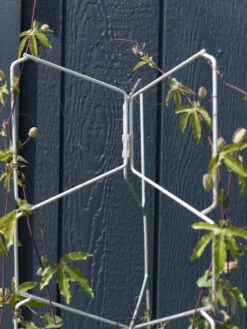 New Release -Outdoor Garden Supply Store 8599997 0052 tif