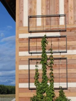 New Release 10 Exeter Wall Trellis