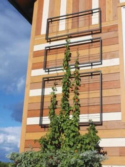 Exeter Wall Trellis -Outdoor Garden Supply Store 8600049 7121 tif