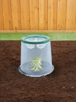 Sunny Forcing Cloches, Set Of 3 -Outdoor Garden Supply Store 8600075 02V tif