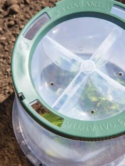 Sunny Forcing Cloches, Set Of 3 -Outdoor Garden Supply Store 8600075 0742 tif