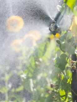 Landscape 4-Way Cooling Mist Kit, 50' -Outdoor Garden Supply Store 8600154 0695 tif