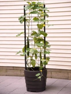Gardener’s Victory Self-Watering Planter With Vine Trellis -Outdoor Garden Supply Store 8600177 9876 tif