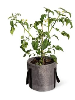 Reinforced Colorful Grow Bags 11 Reinforced Colorful Grow Bags -Outdoor Garden Supply Store 8600229 0944 tif