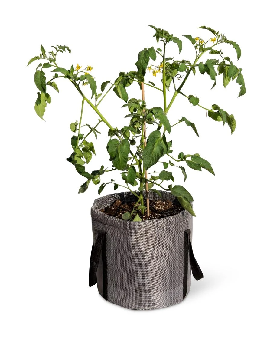 Reinforced Colorful Grow Bags 6 Reinforced Colorful Grow Bags - Image 6