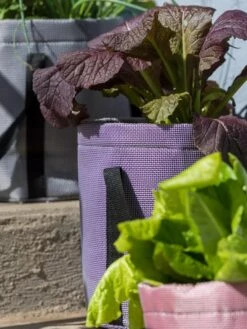 Reinforced Colorful Grow Bags 9 Reinforced Colorful Grow Bags -Outdoor Garden Supply Store 8600230 20013 tif