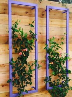 Ina Modern Wall Trellis Sr. -Outdoor Garden Supply Store 8600510 07V tif