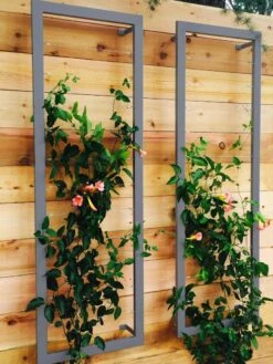 Ina Modern Wall Trellis Sr. -Outdoor Garden Supply Store 8600510 08V jpg