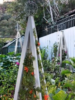 Akoris Garden Tuteur Jr. -Outdoor Garden Supply Store 8600517 07V tif