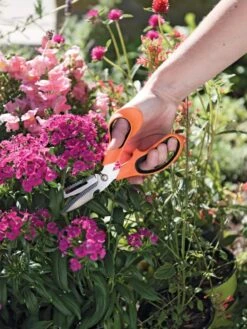 Gardener's Multi Purpose Scissors -Outdoor Garden Supply Store 8608655 19551 tif