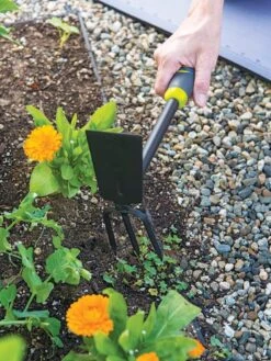 Gardener's 2-in-1 Short Handle Hoe And Cultivator 7 Gardener's 2-in-1 Short Handle Hoe And Cultivator -Outdoor Garden Supply Store 8608657 19474 tif