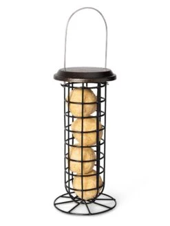 Suet Ball & Feeder Combo Set -Outdoor Garden Supply Store 8608919 4427