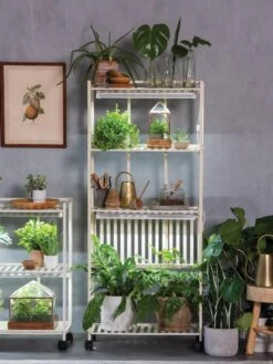 Oslo 4-Tier LED Grow Light Garden -Outdoor Garden Supply Store 8609188 4118 tif