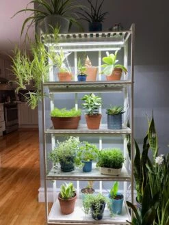 Oslo 4-Tier LED Grow Light Garden -Outdoor Garden Supply Store 8609220 03IN tif