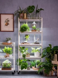 Oslo 4-Tier LED Grow Light Garden -Outdoor Garden Supply Store 8609220 4116 tif