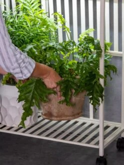 Oslo 2-Tier LED Grow Light Garden, 2 Fixtures -Outdoor Garden Supply Store 8609220 4122 tif