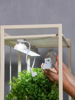 Outdoor Garden Supply Store -Outdoor Garden Supply Store 8609220 4130 tif