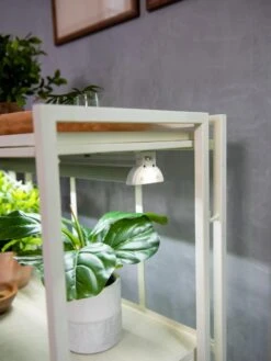 Oslo 2-Tier LED Grow Light Garden, 2 Fixtures -Outdoor Garden Supply Store 8609221 4101 tif