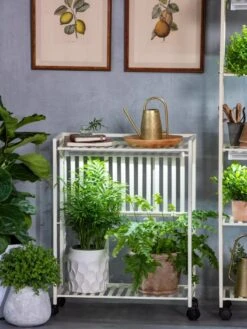 Oslo 2-Tier LED Grow Light Garden, 2 Fixtures -Outdoor Garden Supply Store 8609221 7236 tif