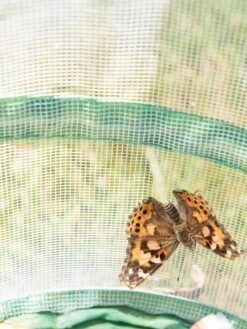 Butterfly Garden® Kit With Voucher -Outdoor Garden Supply Store 8609265 6288 tif