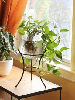 Achla Designs Multi Use Stand 9 Achla Designs Multi Use Stand -Outdoor Garden Supply Store 8609343 01v achla designs multi use stand