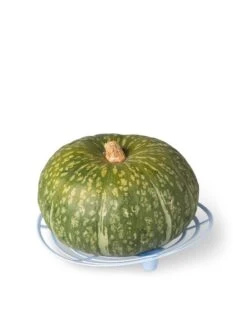 Melon And Squash Cradles, Set Of 6 -Outdoor Garden Supply Store 8609464 5204 tif
