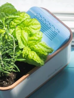 Dewplanter -Outdoor Garden Supply Store 8609512 04V