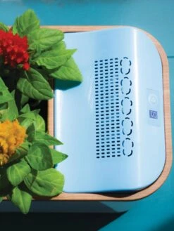 Dewplanter -Outdoor Garden Supply Store 8609512 Dewplanter