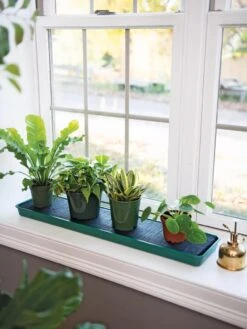 Self-Watering Windowsill Tray -Outdoor Garden Supply Store 8609873 9011 tif